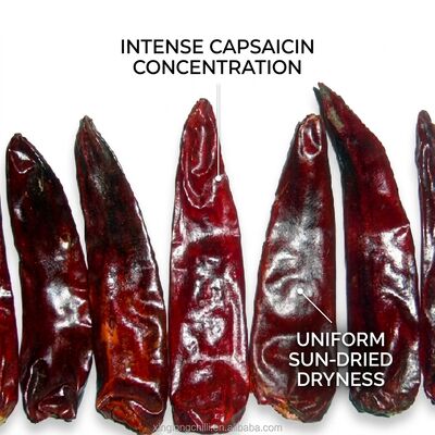 Piments rouges séchés à faible humidité 8% Max Naturels séchés au soleil Qualité d'exportation premium 4-7cm 5000-20000SHU