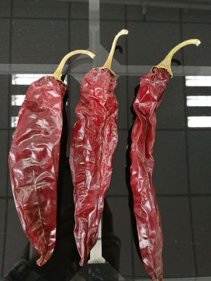 XingLong a séché Paprika Peppers que 16CM a déshydraté Chili Pods rouge