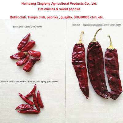 Durée de conservation d'un an Paprika sucré poivre séché ajout de piment rouge pour ingrédient alimentaire de haute qualité