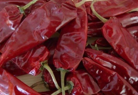 Piment sec de assaisonnement 180 ASTA Red Hot Chili Peppers de Guajillo