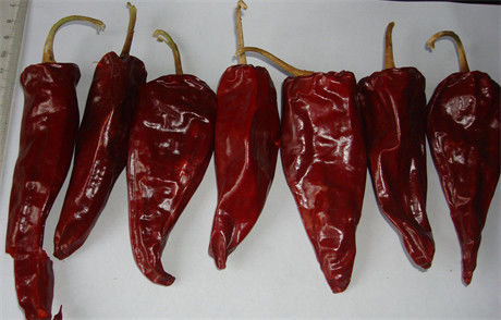 Les piments rouges secs Xinglong entier 10KG de 12CM ont séché l'Asiatique Chili Peppers