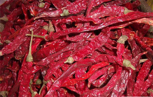 Erjingtiao doux a séché le poivre d'Erjingtiao d'humidité de Chilis 12% de tige