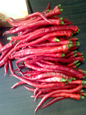8000-12000shu Erjingtiao a séché la chaleur modérée Chili Bean Paste Use de Chilis