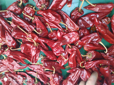 5000 cosses rouges du Chili sèches par A de catégorie de SHU Mild Dried Chilies Stemmed