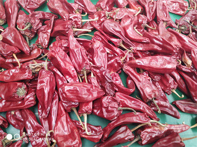 Les piments rouges secs Xinglong entier 10KG de 12CM ont séché l'Asiatique Chili Peppers