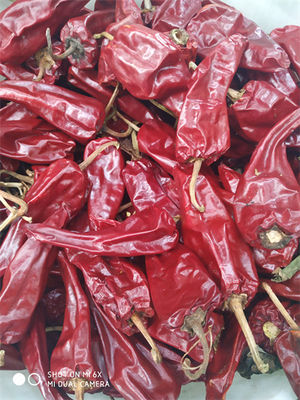 5000 cosses rouges du Chili sèches par A de catégorie de SHU Mild Dried Chilies Stemmed