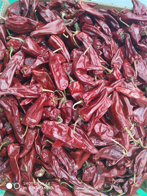La nouvelle culture Yidu a séché la certification de Chili With Stem HACCP