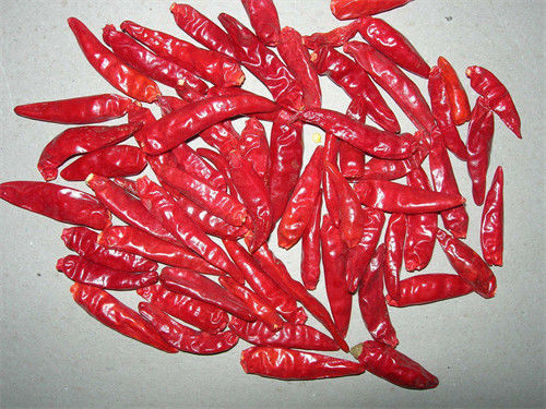 50000-90000 SHU New Generation Chilli Pepper pour le pot chaud