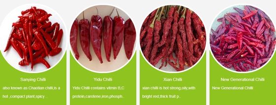 Poivrons à la couleur rouge et à la saveur forte conservés dans un endroit frais et sec
