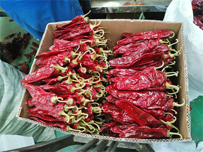 Paprika rouge séché piments épices et assaisonnements en poudre pour les ingrédients alimentaires