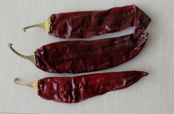 Paprika rouge séché piments épices et assaisonnements en poudre pour les ingrédients alimentaires