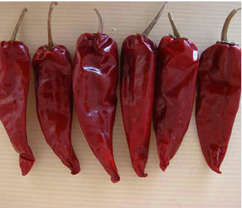 100 g de piments rouges ronds naturels de Tianjin