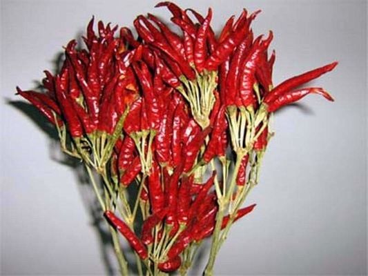 Le Chinois acaule a séché Chili Peppers 819 haut SHU Dried Hot Chillies
