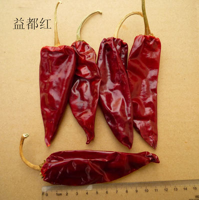 Yidu a séché le Chili rouge poivre des cosses du condiment 9CM Chili de nourriture pour Pozole