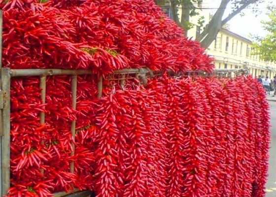 Piments secs entiers aspermes Chaotian Sichuan faisant face à des piments de ciel