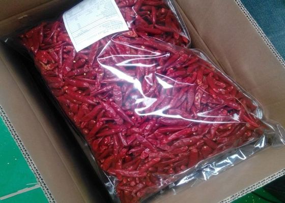 La nouvelle culture de piments rouges comestibles de Tianjin a refoulé Arbol sec Chili Peppers