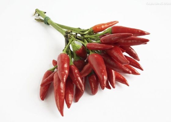 Les piments chauds de pot de Chaotian ont déshydraté Chili Peppers rouge sec par totalité