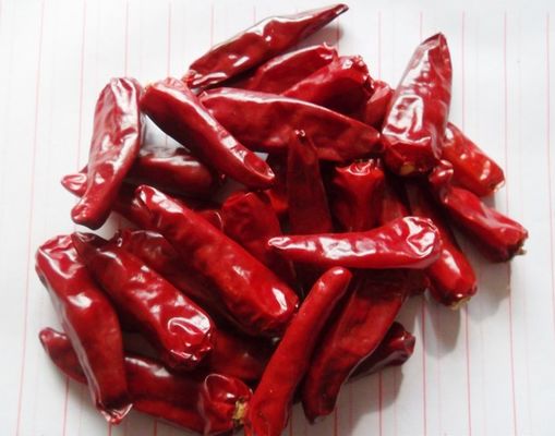 Les piments chauds de pot de Chaotian ont déshydraté Chili Peppers rouge sec par totalité