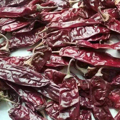 240 ASTA Sweet Paprika Pepper Seedless ont séché les piments rouges entiers AUCUN colorant