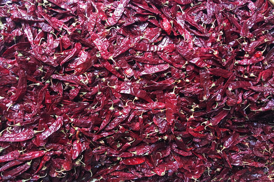 240 ASTA Sweet Paprika Pepper Seedless ont séché les piments rouges entiers AUCUN colorant