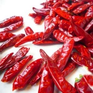 Le Chinois a séché Chili Peppers Chaotian Szechuan Dried rouge Chili Zero Additive