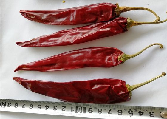 Paprika rouge de Guajillo sec par granule Chili Single Herb Dehydrated Spicy