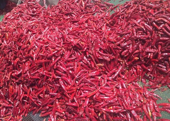 Chillies rouges ronds de Tianjin (100 g)