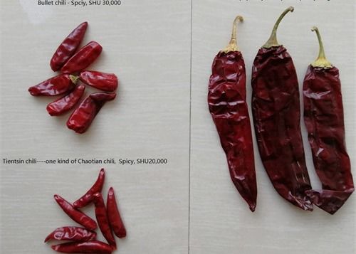 L'air a séché les cosses sèches refoulées chaudes du Chili de milieu rouge de piments de Tianjin