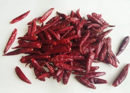 Tianjin acaule les piments que rouges évaluent Tien-Tsin a séché les cosses rouges du Chili
