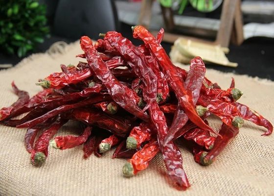 Cosses rouges de SHU10000 Xian Chilli Pungent Flavor Dried Chili 10 PPB