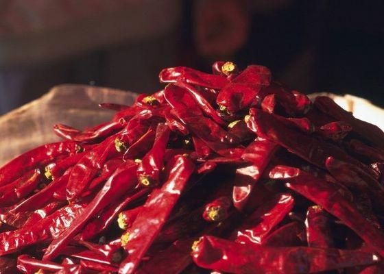Erjingtiao séché à l' air Chili séché sans tiges et emballé avec des piments