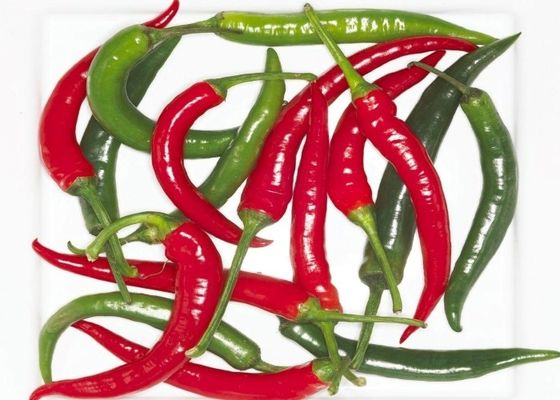 Erjingtiao séché à l' air Chili séché sans tiges et emballé avec des piments