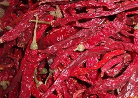 Piment authentique Erjingtiao Piment séché à 8-12% d'humidité et séché à l'air
