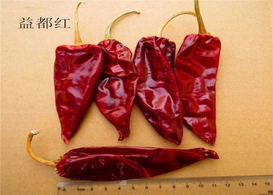12cm a séché l'humidité rouge sèche piquante de Chili Pods 12% de poivrons épicés