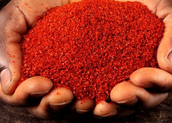 Livraison gratuite poudre de piment rouge polyvalent pour le restaurant