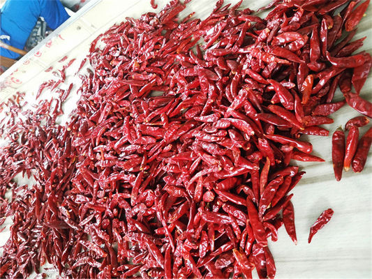 piments rouges entiers séchés nutritifs épicés et riches en vitamine C