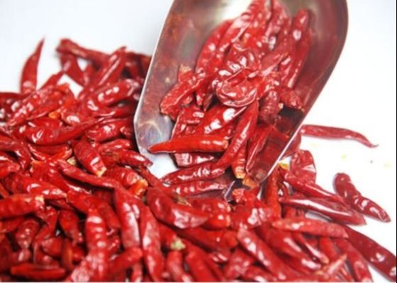 Piments rouges culinaires de Tianjin Chili Peppers d'un rouge ardent sec par catégorie