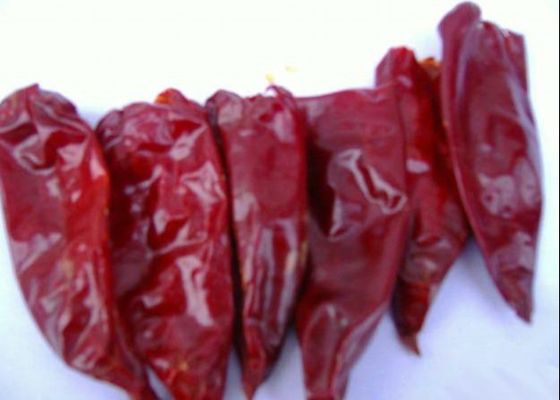 Longs piments 2000 rouges secs crus de Yidu Chili Zero Additive Scoville