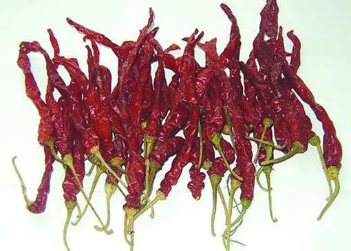 Xian Chilli séché au soleil que SHU8000 a séché les piments rouges poivre l'humidité de 8%