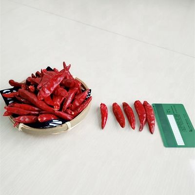 Longueur sèche épicée CACHÈRE des piments 40mm du Chili De Arbol 25KG de poivre