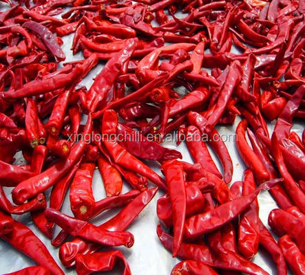 Organic De Arbol Chili Tianjin a séché les poivrons épicés 50000 SHU Super Hot
