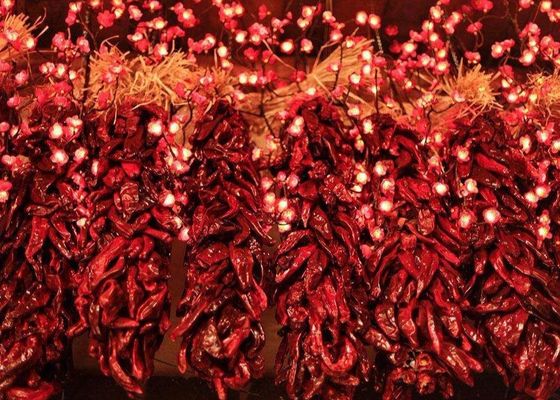 Longue 8000 saveur piquante sèche de SHU Dried Red Chilli Peppers 20Kg