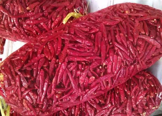 Piments rouges 5000 piquants SHU Dried Red Chile Pods de SHU 12000 Tianjin