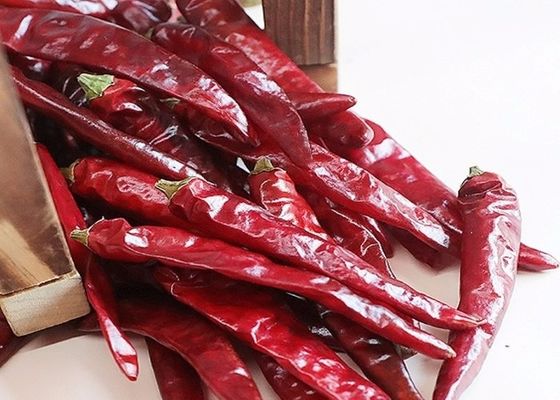 25000 piments de SHU Dried Red Chile Peppers Tianjin ont déshydraté des épices