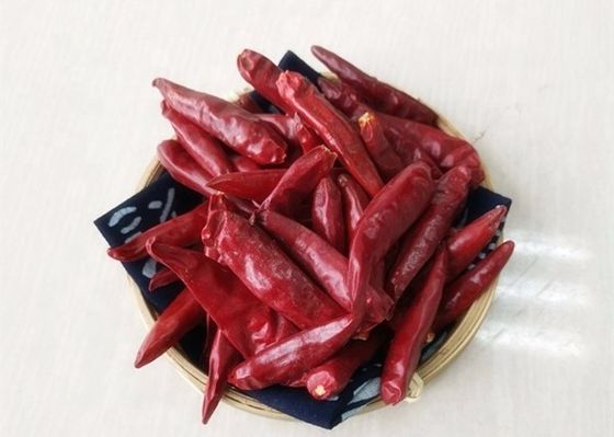 25000 piments de SHU Dried Red Chile Peppers Tianjin ont déshydraté des épices