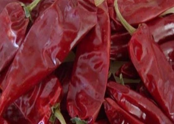 L'ANNONCE de 8000 SHU Cherry Red Guajillo Chilis séchant des cosses du Chili Guajillo collent la forme