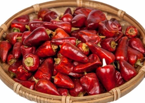 Les piments rouges acaules de balle ont déshydraté 25000 SHU Dried Spicy Peppers
