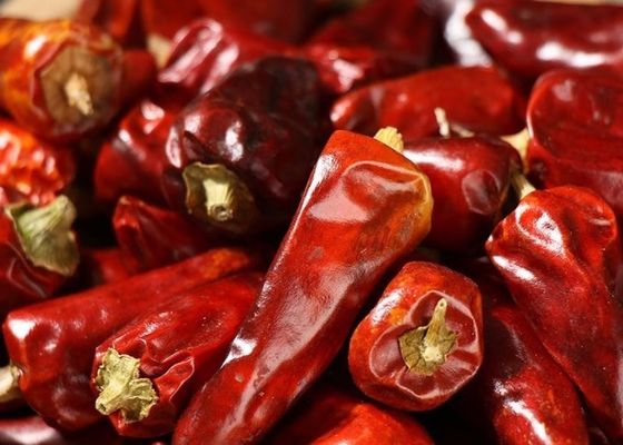 Les piments rouges acaules de balle ont déshydraté 25000 SHU Dried Spicy Peppers