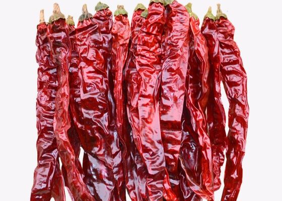 L'ANNONCE a séché les piments secs entiers de Xian Chilli 20CM non irradiés