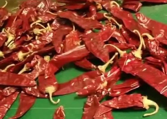 L'ANNONCE de 8000 SHU Cherry Red Guajillo Chilis séchant des cosses du Chili Guajillo collent la forme